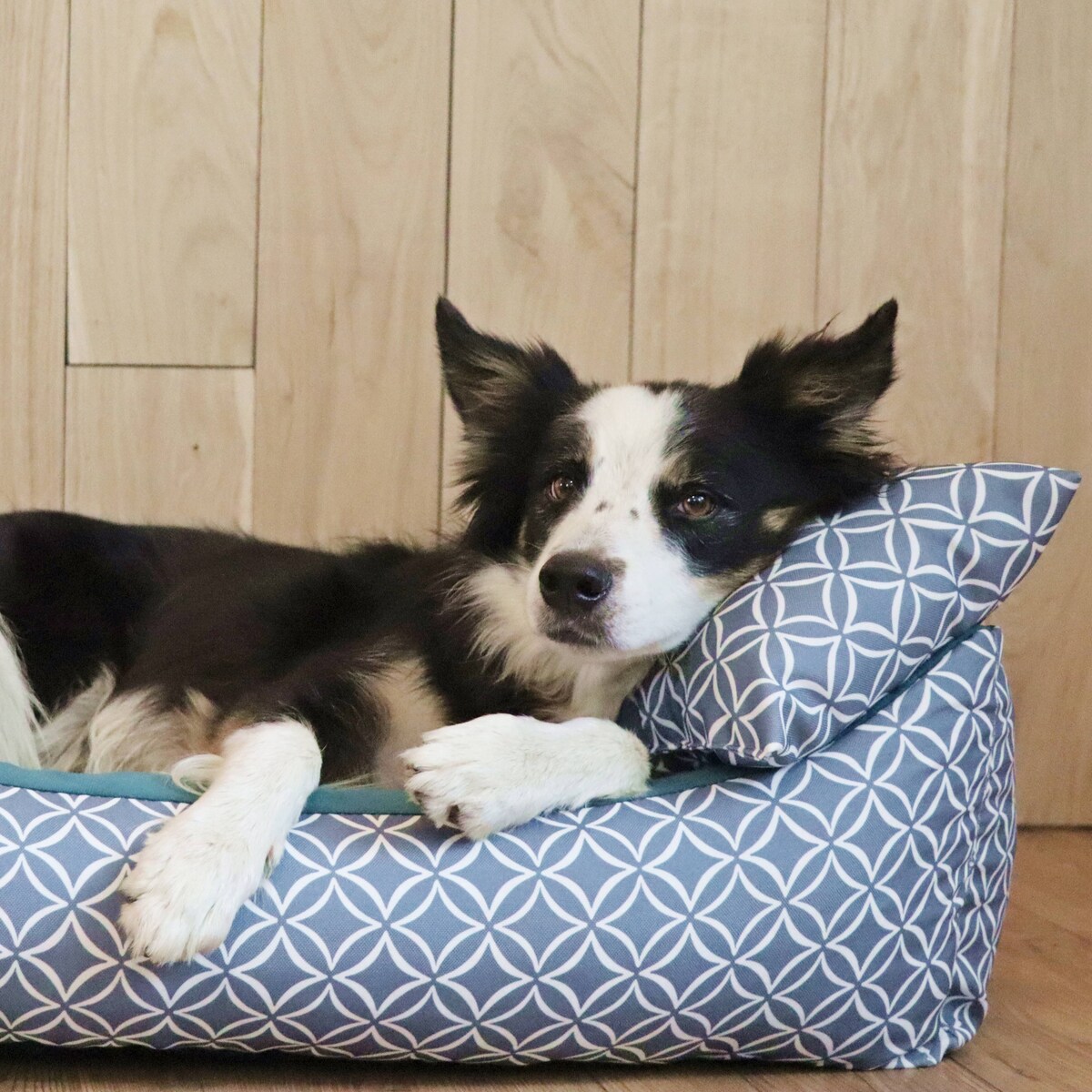 Stylowe legowisko dla psa OTTO, 80x60 cm, Turkus