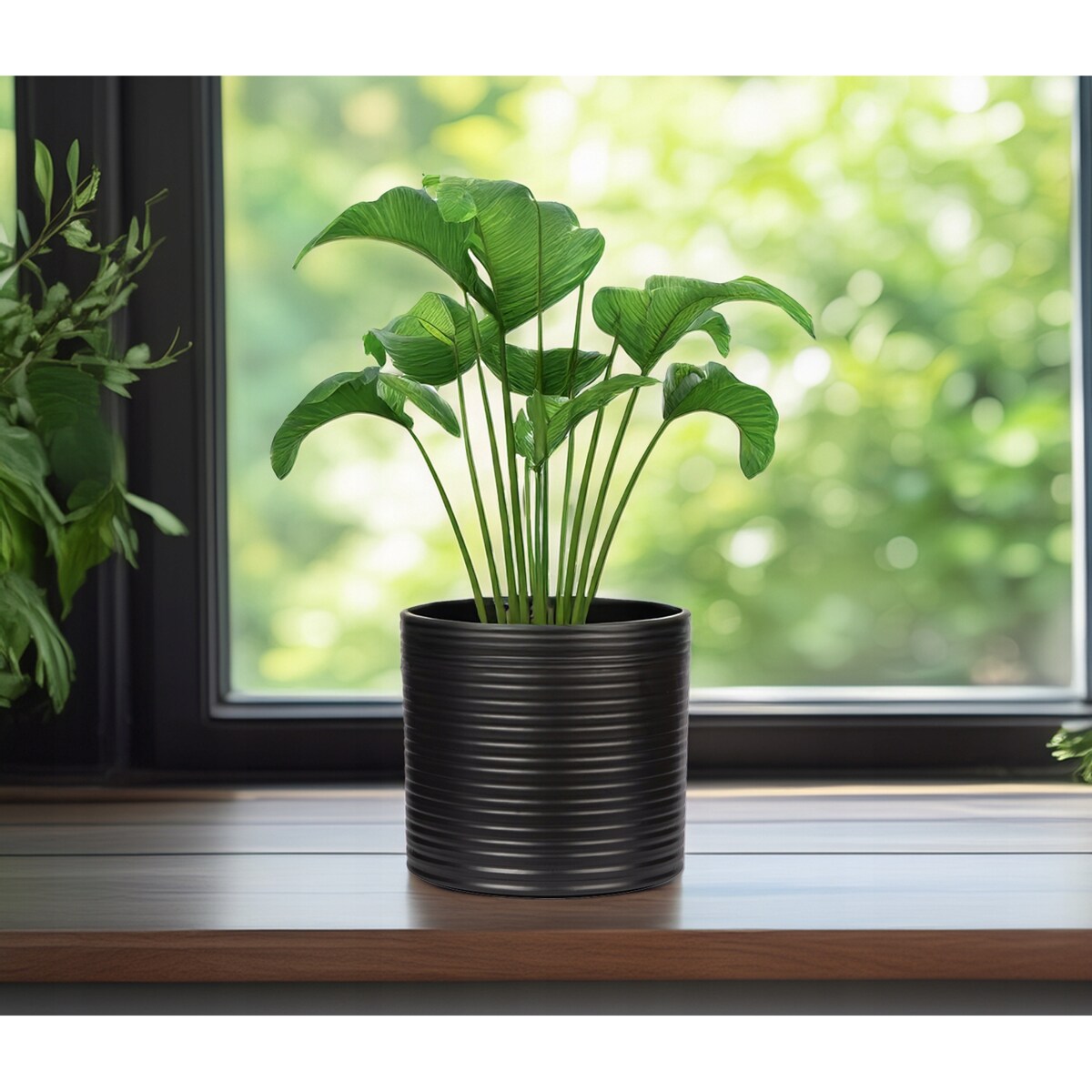 DONICZKA CERAMICZNA CYLINDER CZARNA 17cm matowa na parapet kwiaty do salonu