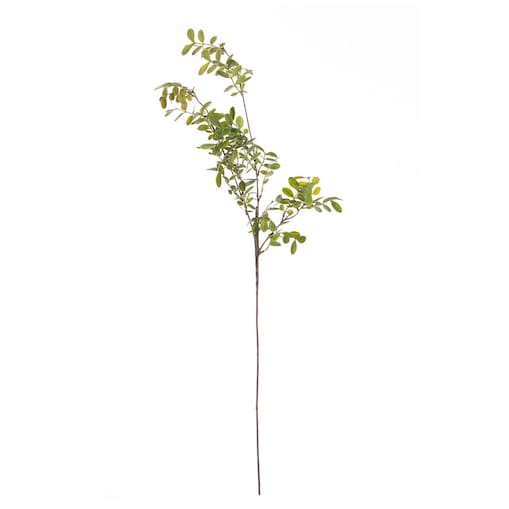 Gałązka Green Twig 100cm, 20 x 5 x 100 cm