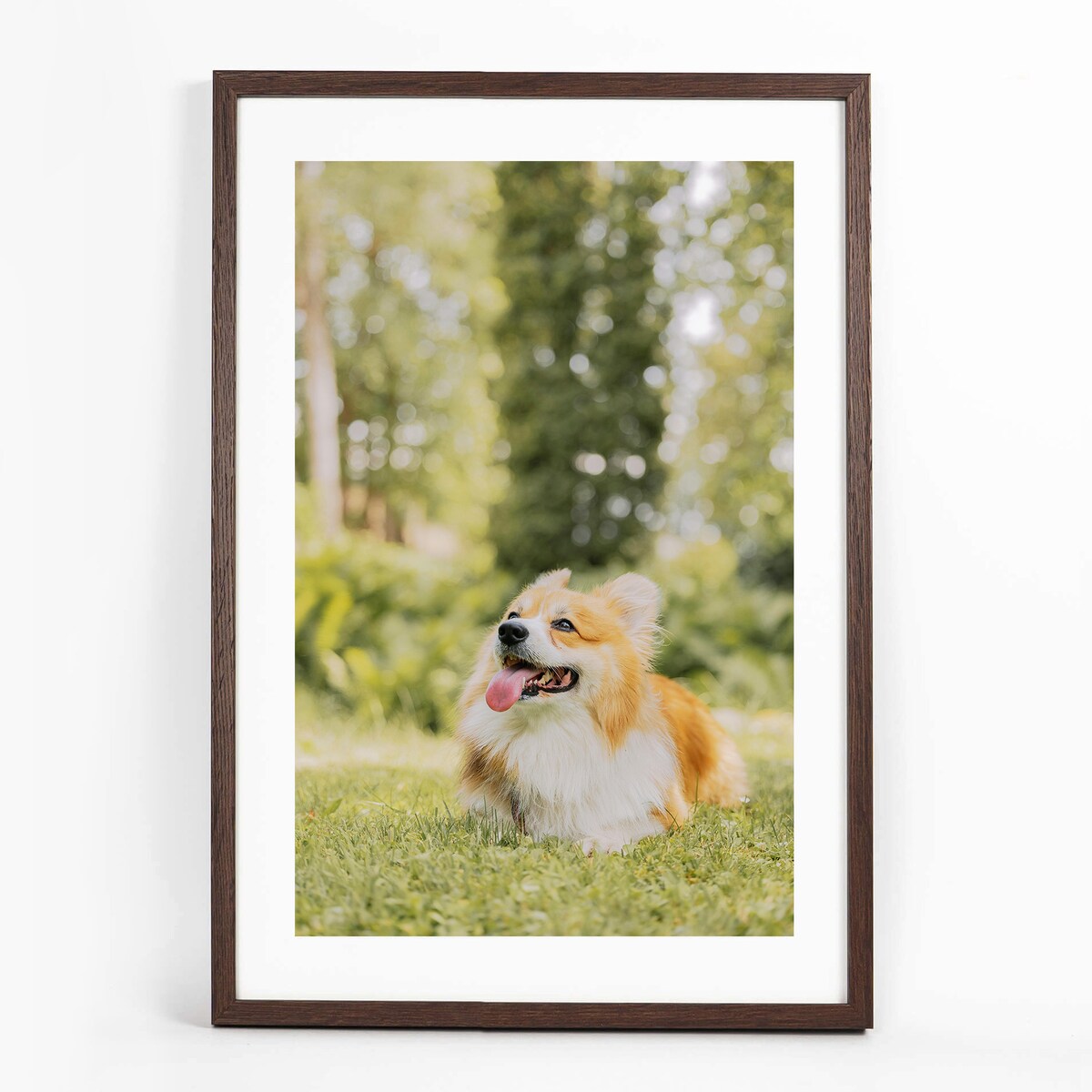 Ramka na zdjęcia 40x60 cm brązowa ciemna wisząca poziom pion rama MDF z plexi klasyczna ramka prostokątna