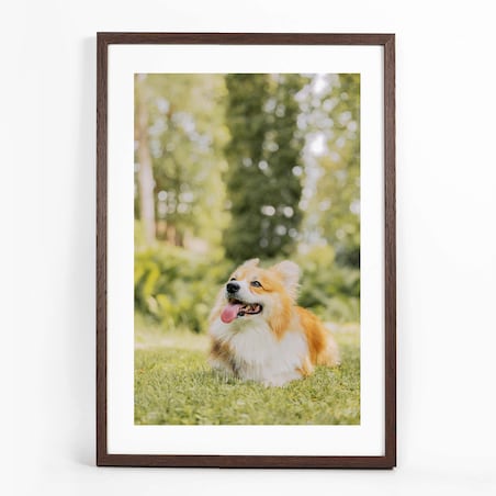 Ramka na zdjęcia 40x60 cm brązowa ciemna wisząca poziom pion rama MDF z plexi klasyczna ramka prostokątna