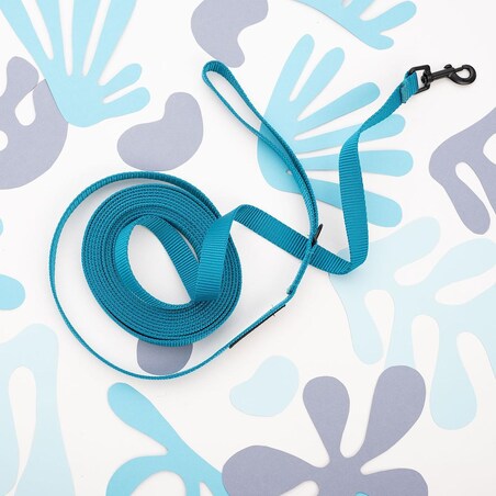 Smycz treningowa Turquoise AF - Rozmiar: L