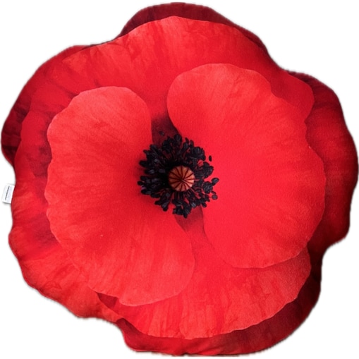 Poduszka duża czerwony Mak polny, kwiat maku