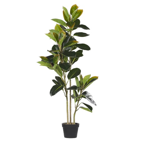 Sztuczna roślina FICUS ELASTICA 134 cm Zielony