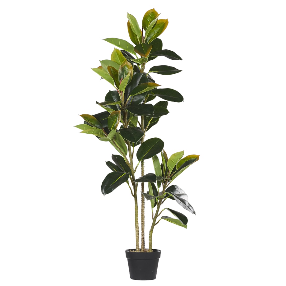 Sztuczna roślina FICUS ELASTICA 134 cm Zielony