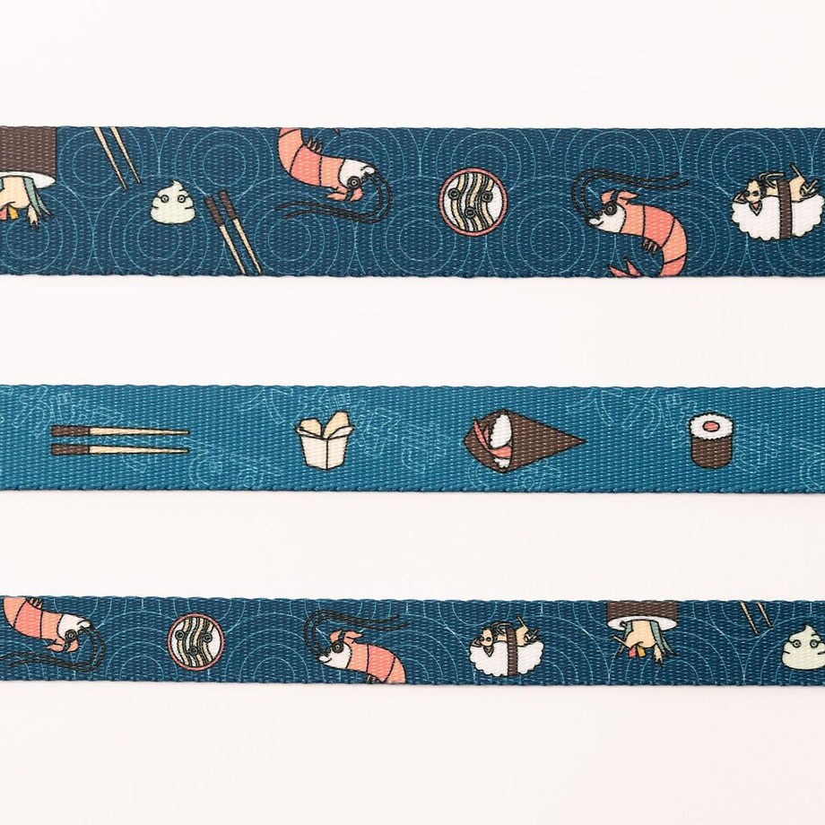 Obroża dla psa lub kota "Psutomaki" - Szerokość taśmy: 38mm, Rozmiar: S