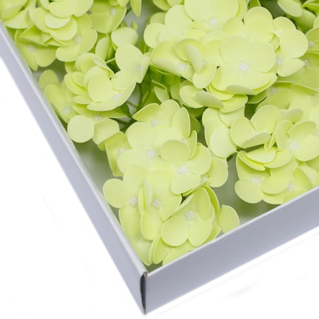 hortensja KWIATY Z MYDŁA pachną na bukiet stroik box ZIELONA prezent 1szt