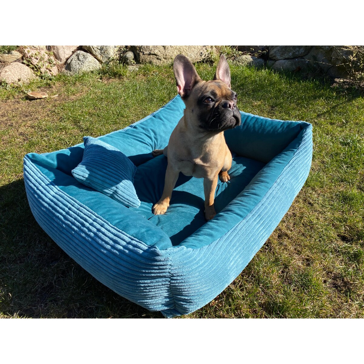 Sztruksowe legowisko dla psa MOLLY, 100x80 cm, Turkus