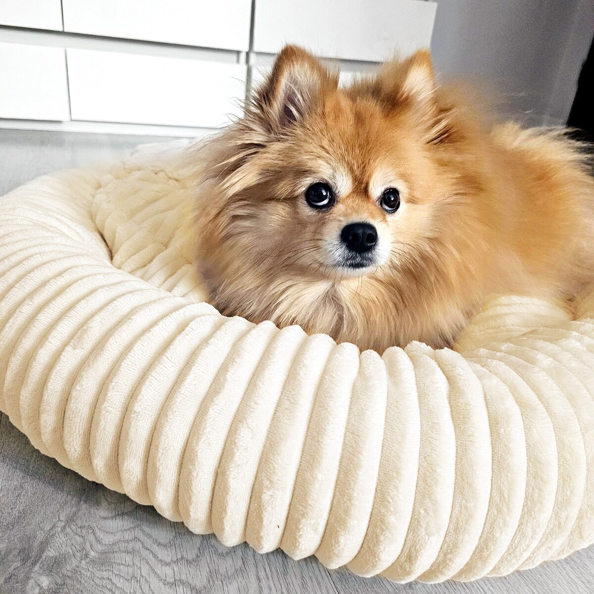 Urocze legowisko dla psa lub kota LUNA, 75x65 cm, Ecru