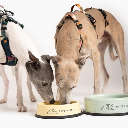 Miska "Dej dej dej" mniejsza