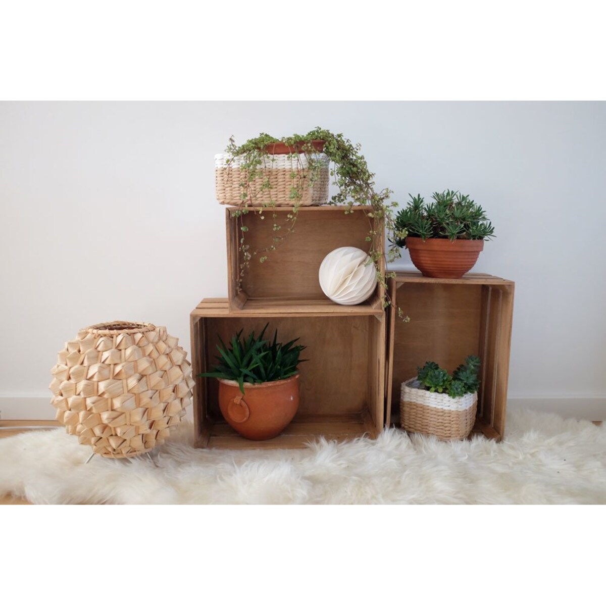 Skrzynia do przechowywania VINTAGE, drewniana, 35x25x20 cm, ZELLER