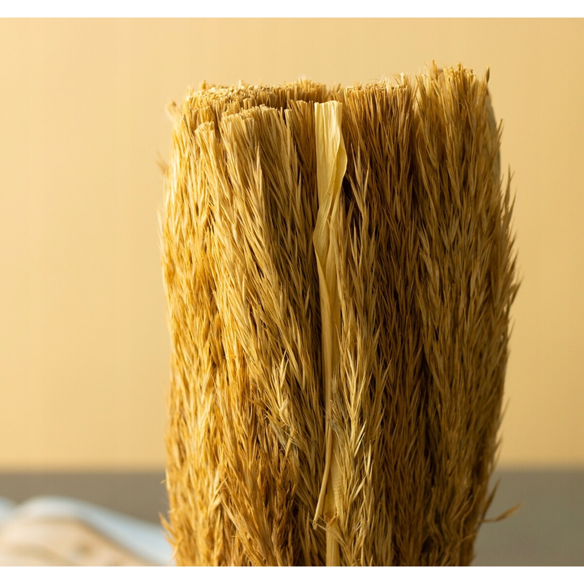 SUSZONA TRZCINA w doniczce z terakoty wys. 27cm