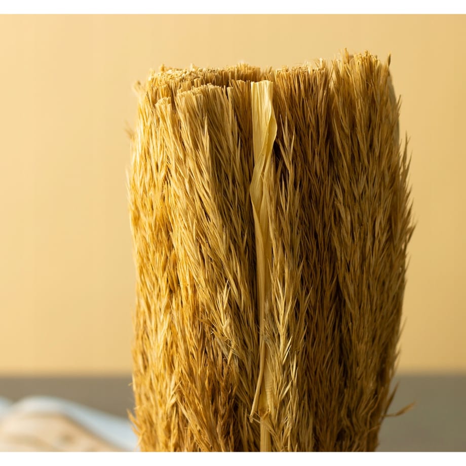 SUSZONA TRZCINA w doniczce z terakoty wys. 27cm