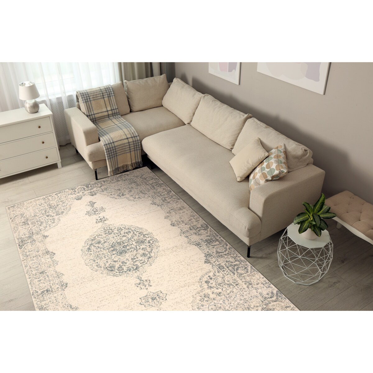 Dywan ABBY 486.24.LA100 wełniany OSTA - 240x340 cm