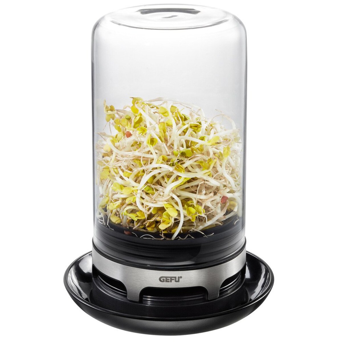 Kiełkownica ze szklaną kopuła, naczynie ze szkła do hodowania kiełków