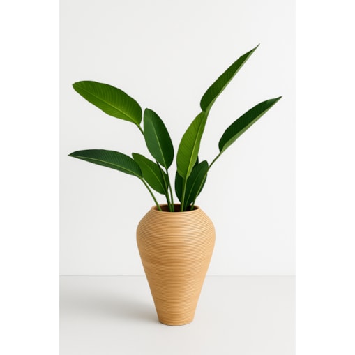 WAZON NICOLAS NATURALNY