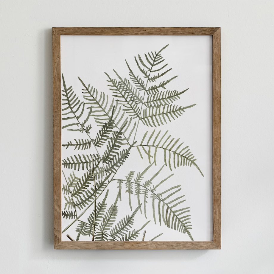 Zestaw 6 Ilustracji 21x30cm