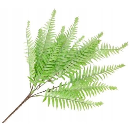 LIŚĆ gałązka PAPROTKA sztuczna do bukietu stroika jesienna 50cm wiązanki