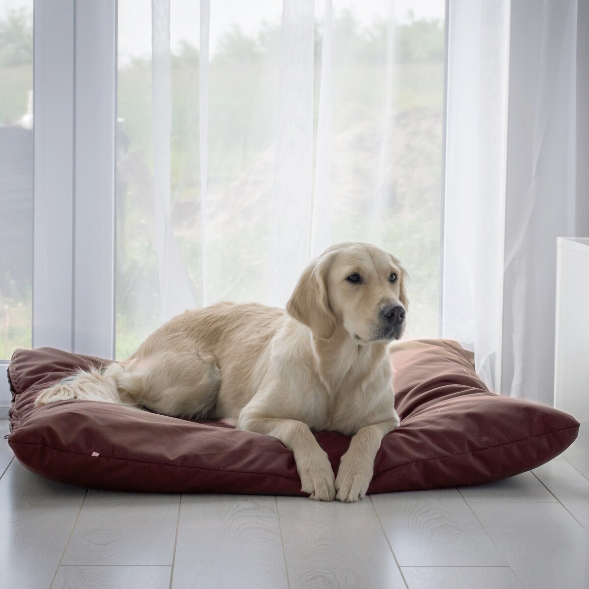 Wodoodporna poduszka dla psa ZOE, 80x60 cm, Brąz