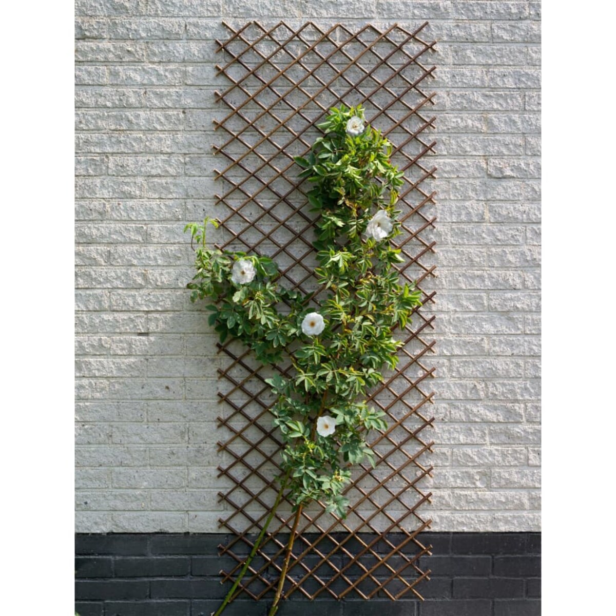 Nature Trejaż ogrodowy, 60x180 cm, naturalna wiklina, brązowy