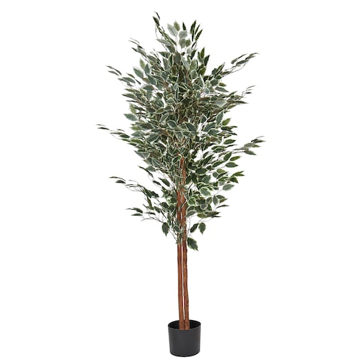 Sztuczna roślina FICUS 167 cm Zielony