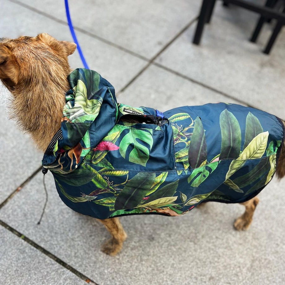 Płaszcz przeciwdeszczowy dla psa Psikolaż - Rozmiar: L