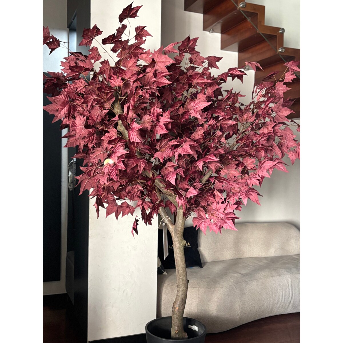 Drzewo klon bordowy na naturalnym pniu 220 cm