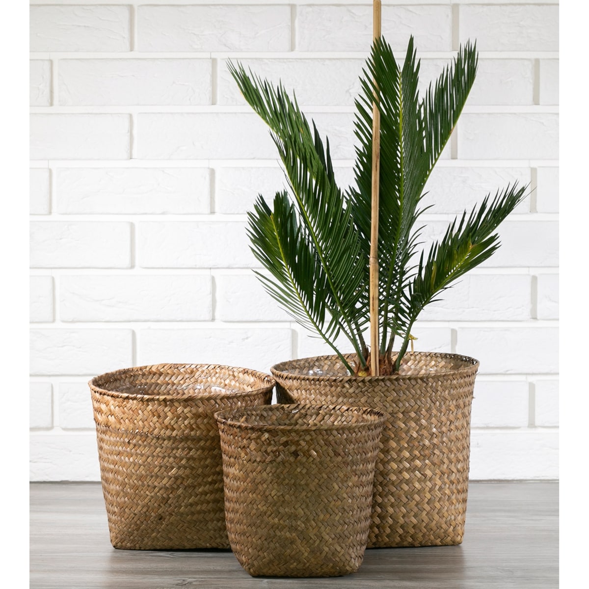 DONICZKA KOSZYK STYL BOHO naturalna donica osłonka na bonsai 3 szt