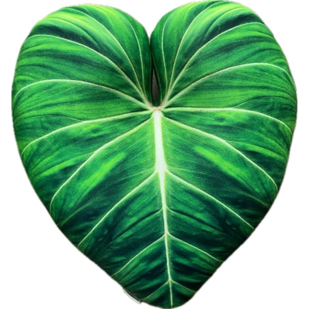 Poduszka liść Philodendron Gloriosum