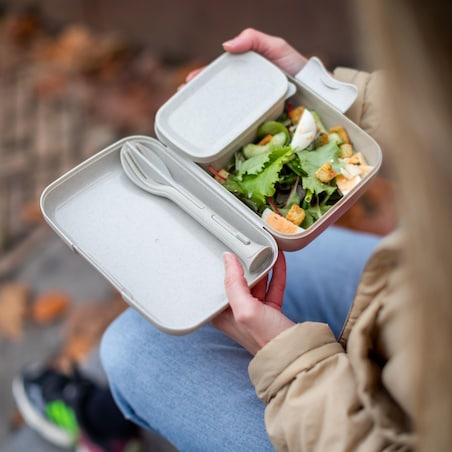 Śniadaniówka z przegródkami CANDY READY + zestaw sztućców, 4 elementy, KOZIOL