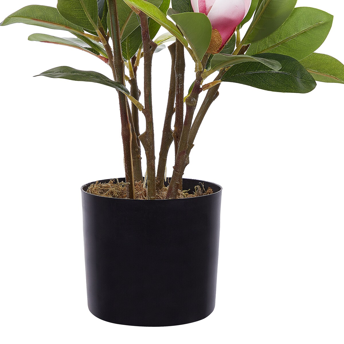 Sztuczna roślina MAGNOLIA 70 cm Zielony