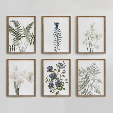 Zestaw 6 Ilustracji 21x30cm