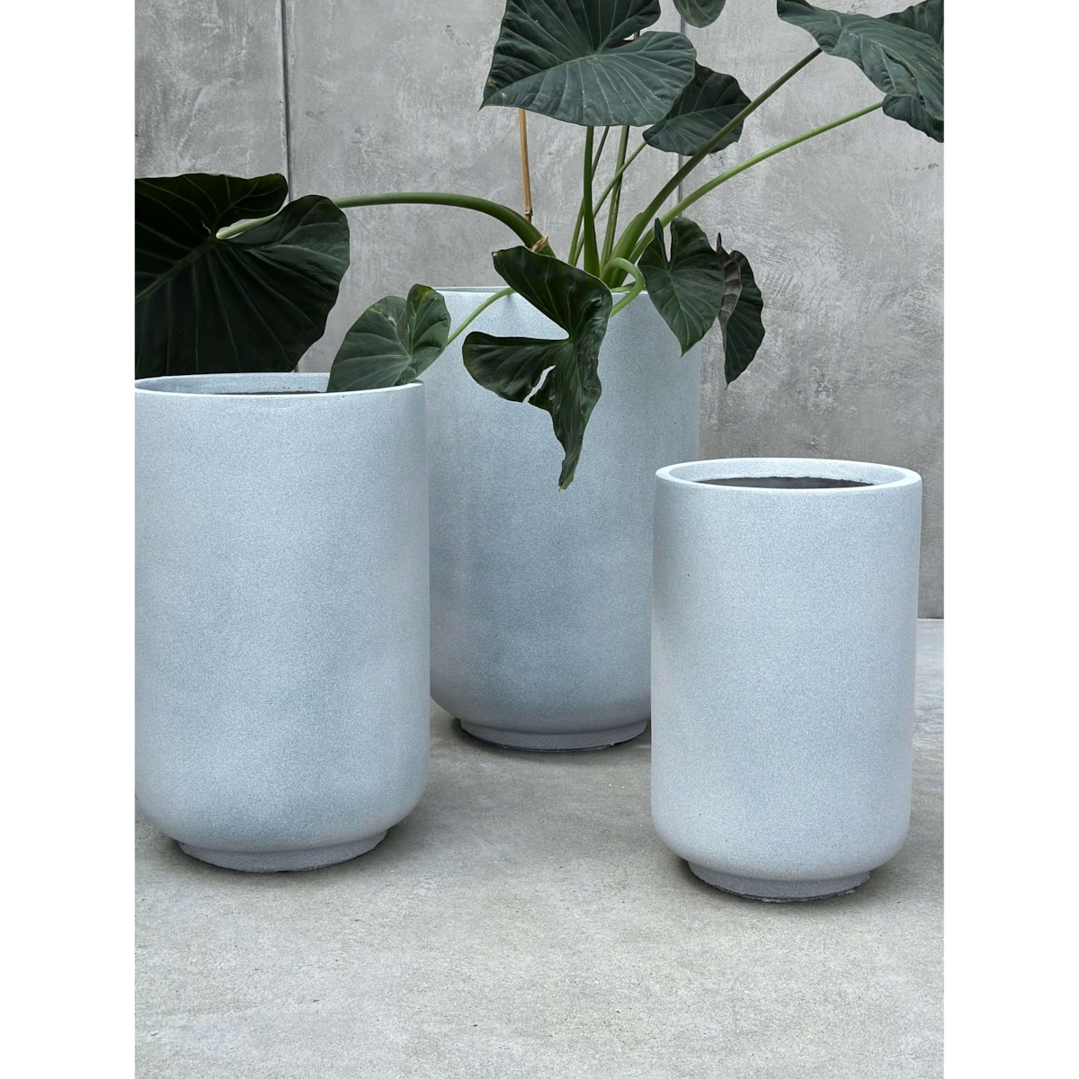 ZESTAW DONICZEK PANDORE SET