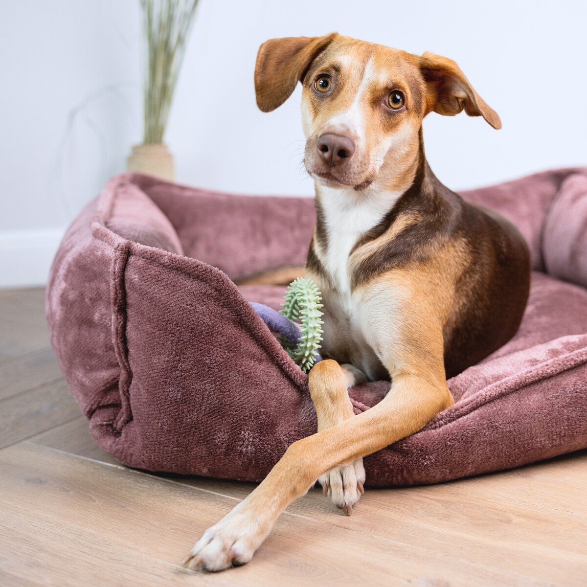 Ortopedyczne legowisko dla psa IRIS, 100x80 cm, Róż