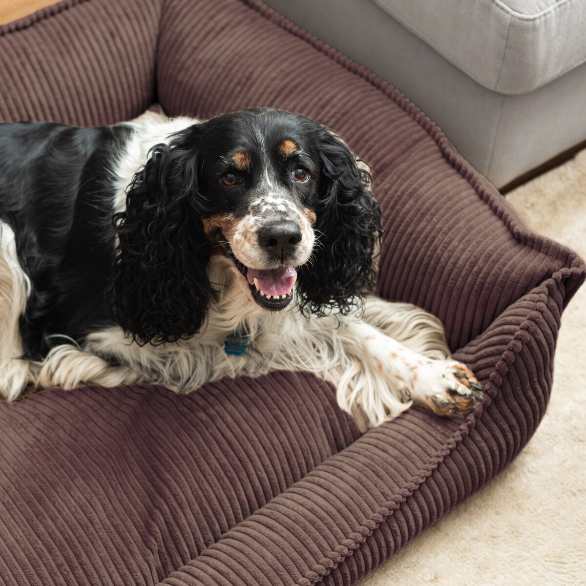 Ortopedyczne sztruksowe legowisko dla psa HUGO, 60x40 cm, Ciemny Brąz