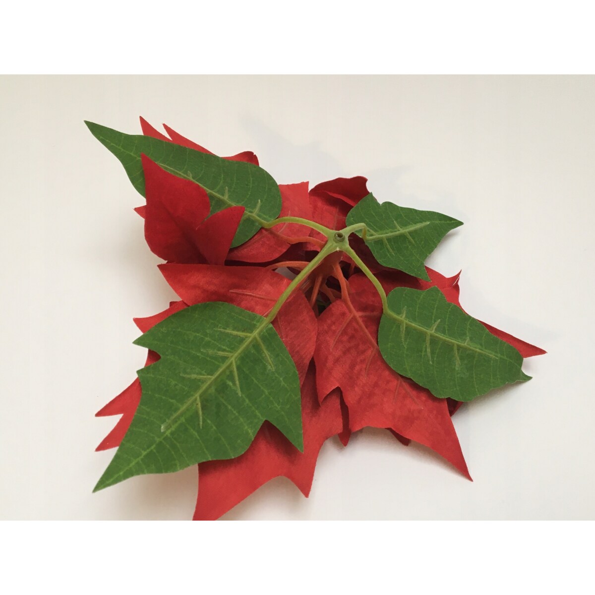 GWIAZDA WELUROWA duża poinsecja BETLEJEMSKA CZERWONA jak żywa na bukiet