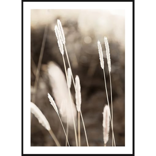 Poster Story, Plakat, Obraz - Wieczorne Letnie Pole No2, wymiary 21 x 30 cm