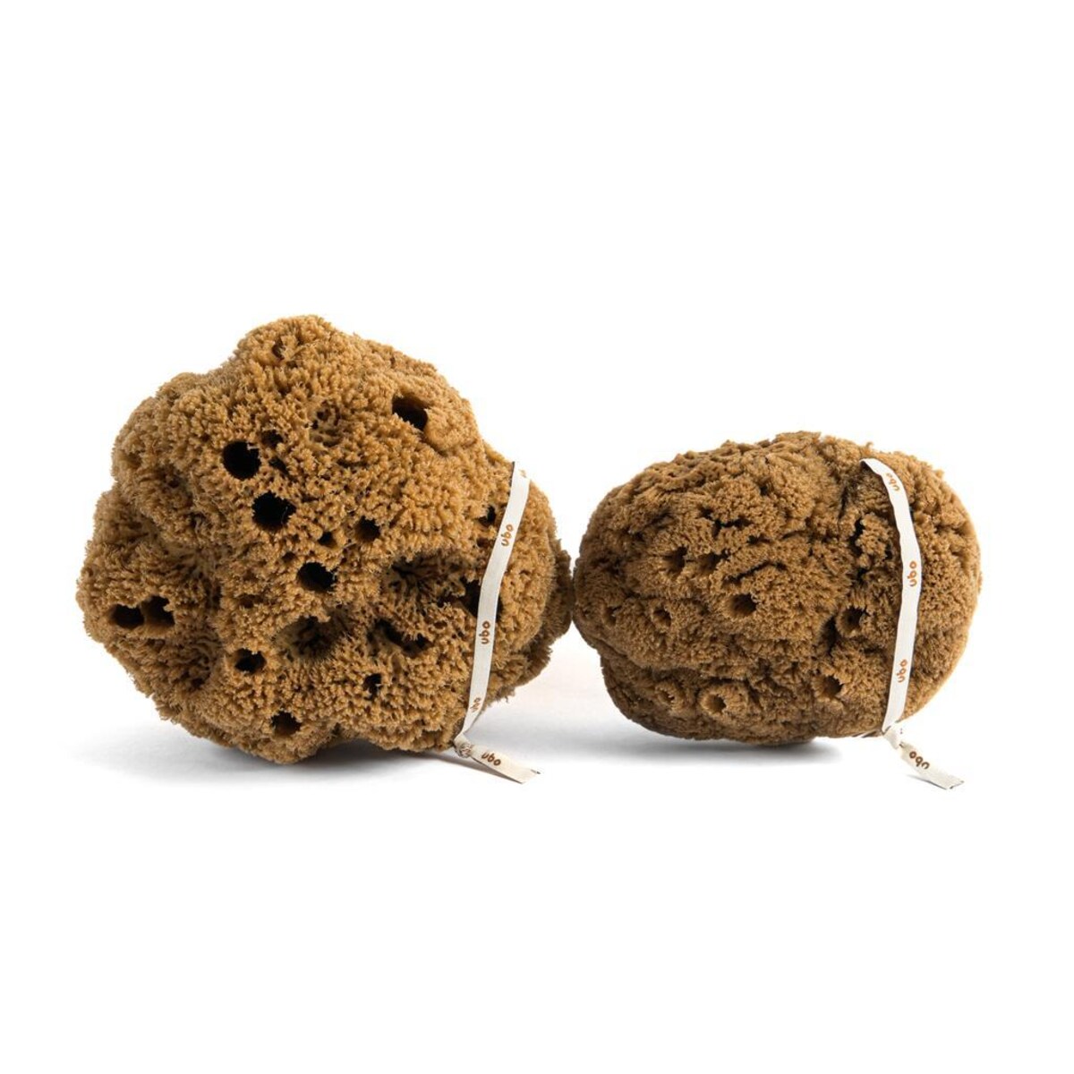 Gąbka naturalna TWARDA GŁOWA rozmiar L UBO