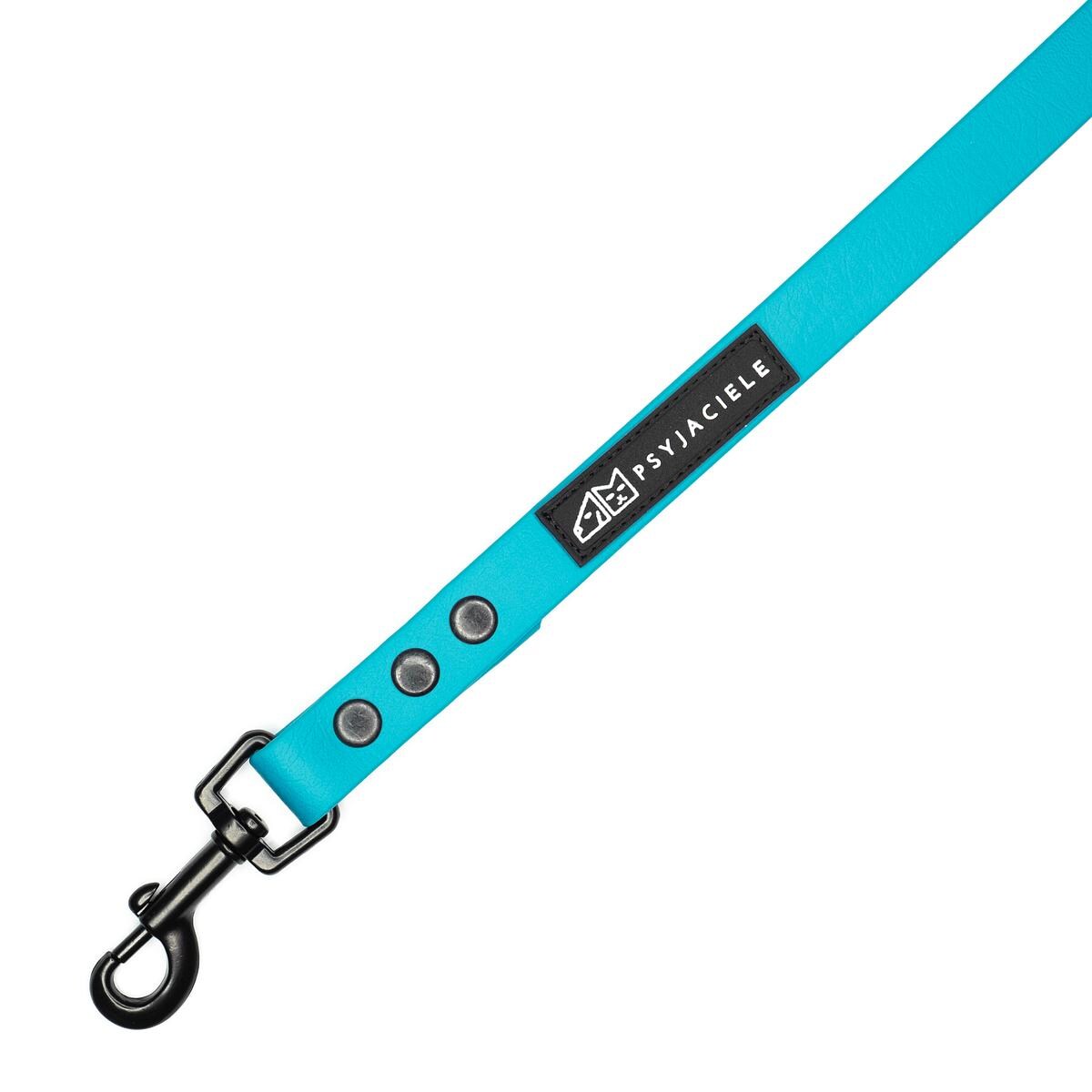 Smycz miejska Biothane® dla psa lub kota "Turquoise AF" - Rozmiar: M, Szerokość taśmy: 19mm