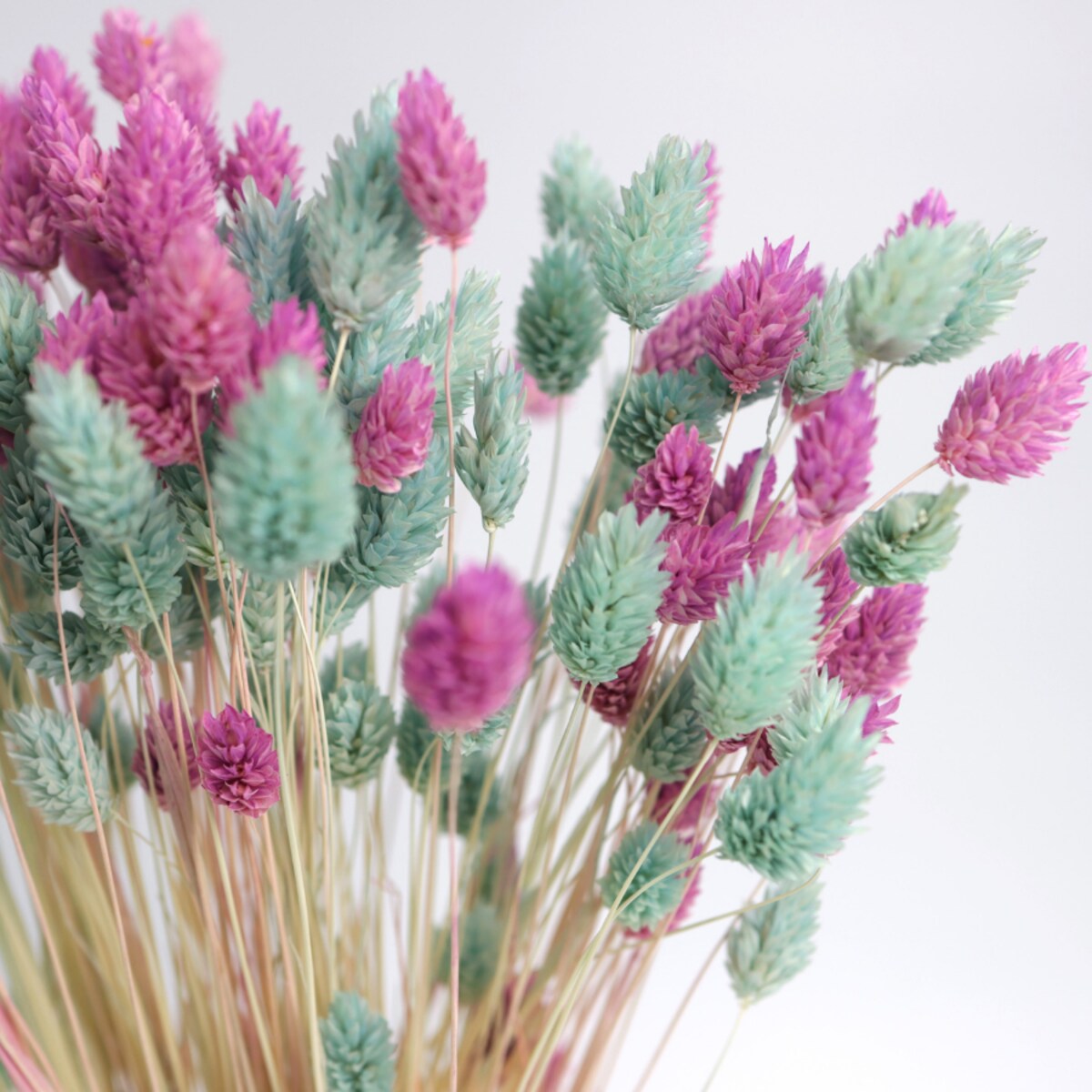 Zestaw suszonych traw - mięta/fiolet