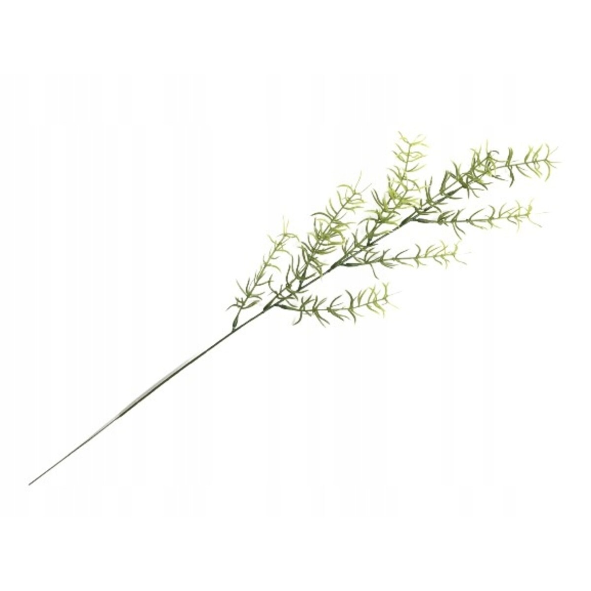SZTUCZNY ASPARAGUS ZIELONY GAŁĄZKA dodatek stroik