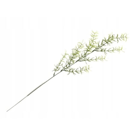 SZTUCZNY ASPARAGUS ZIELONY GAŁĄZKA dodatek stroik