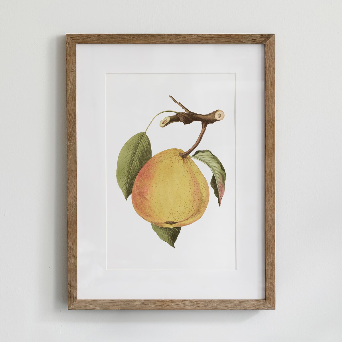 Plakat dojrzała gruszka 21x30cm