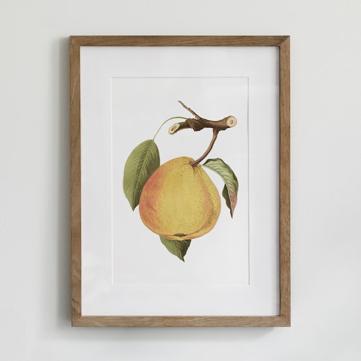 Plakat dojrzała gruszka 21x30cm