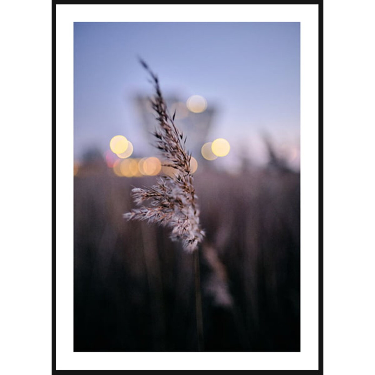 Poster Story, Plakat, Obraz - Pojedyncza Suszona Trawa, wymiary 30 x 42 cm