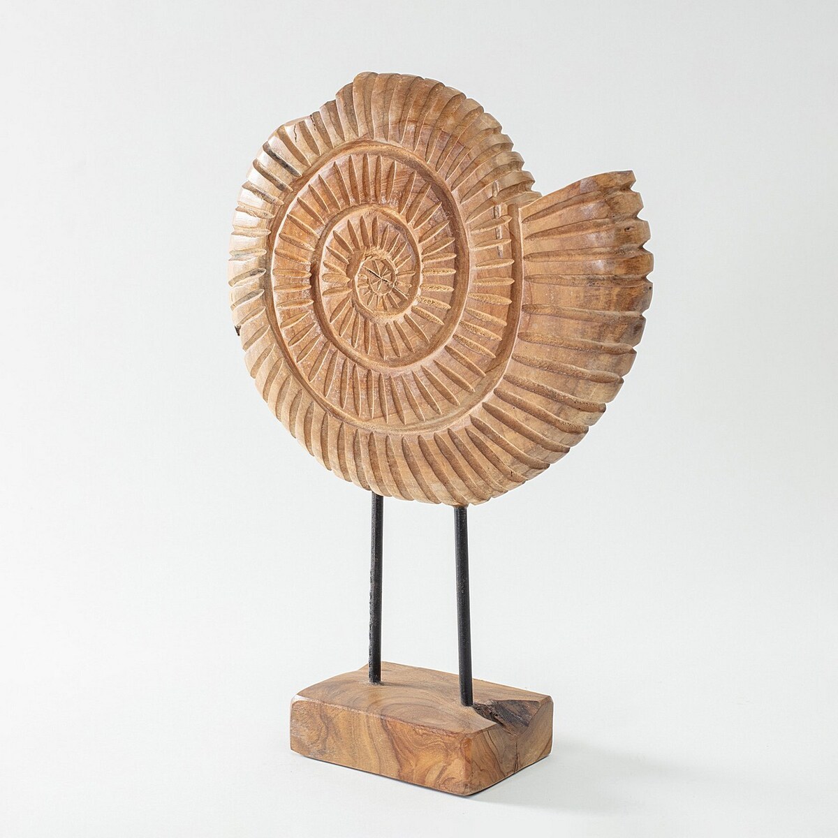 Dekoracja Fossil 45 cm, 34x10x45 cm