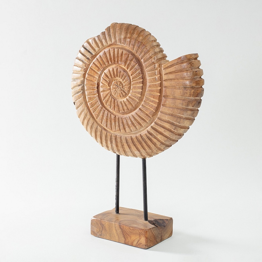 Dekoracja Fossil 45 cm, 34x10x45 cm