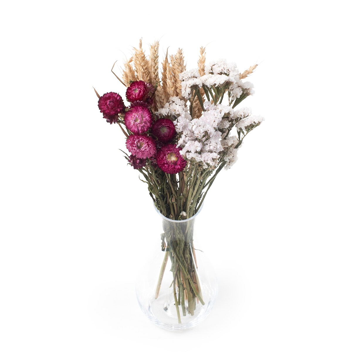 Zestaw suszonych kwiatów Cielo roz. S - zatrwian, kocanka, pszenica