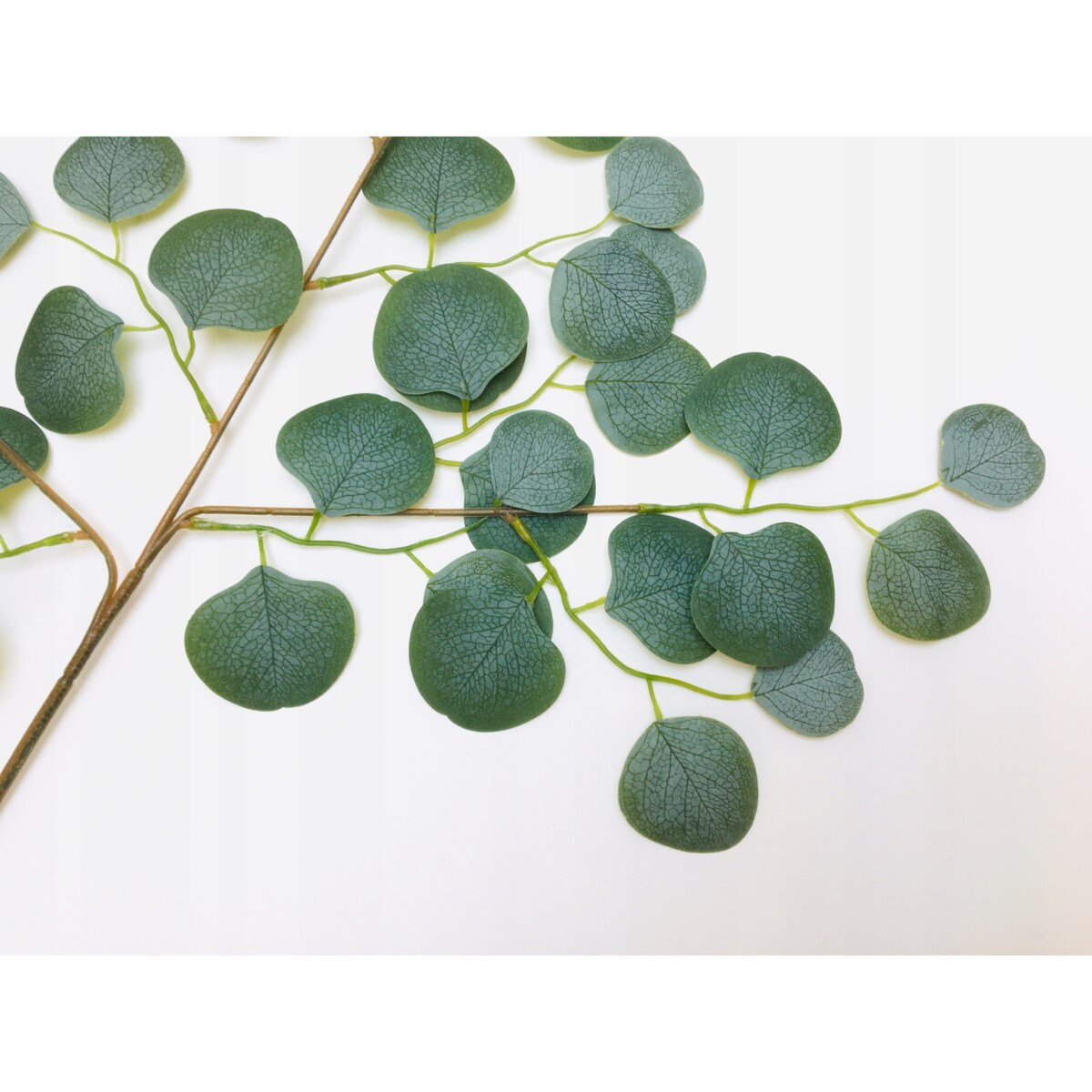 DUŻA ŁODYGA LIŚCIE EUKALIPTUS gałązka do wiązanki dekoracji stroika sztuczn