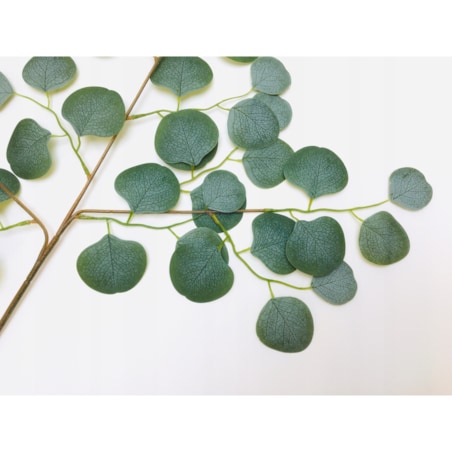 DUŻA ŁODYGA LIŚCIE EUKALIPTUS gałązka do wiązanki dekoracji stroika sztuczn